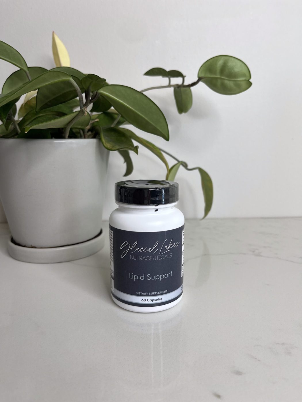Lipid Support